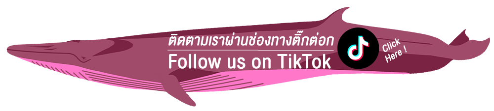 Whale watching Bangkok Thailand Wild Encounter Thailand Cruise Nature Ocean ดูวาฬ วาฬบรูด้า TikTok