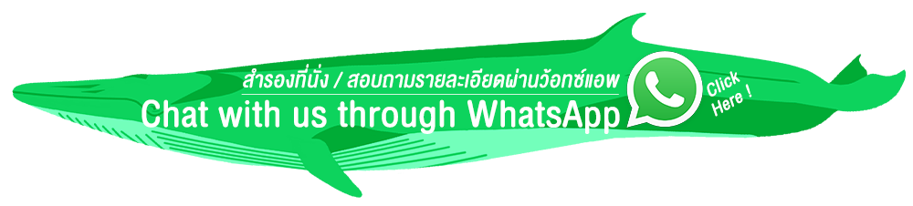 Whale watching Bangkok Thailand Wild Encounter Thailand Cruise Nature Ocean ดูวาฬ วาฬบรูด้า WhatsApp